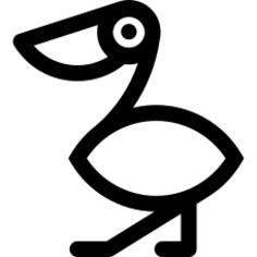 Pelican