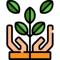 Growth