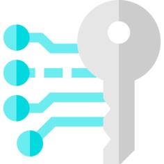 Electronic key