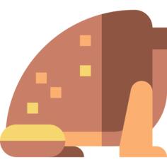 Toad