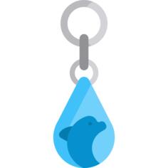 Key ring
