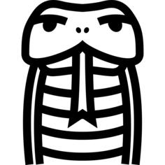 蛇头正面