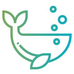 鲸