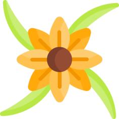 花艺设计