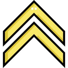 Double chevron
