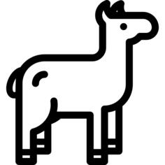 Alpaca