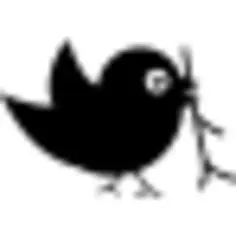 Bird with sprig in its beak