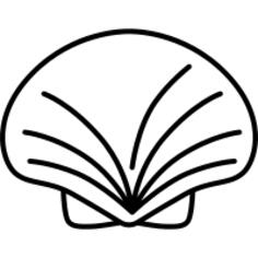 Sea Shell