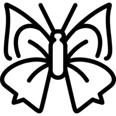 Tawny rajah butterfly