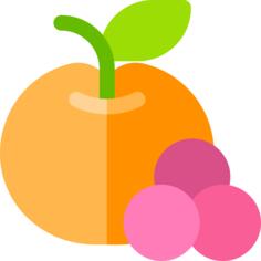Fruit