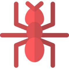 Ant