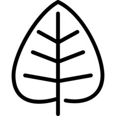 Leaf
