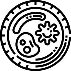 培养皿