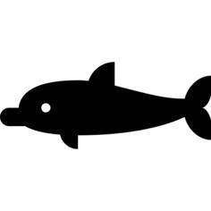 海豚