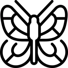 Black veined white butterfly