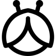 瓢虫