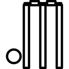 Cricket