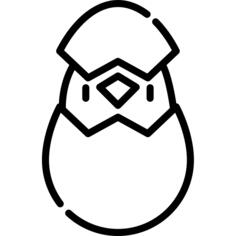 小鸡