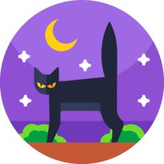 黑猫