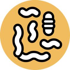 微生物