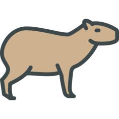 Capybara