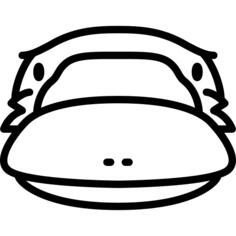 Platypus Head