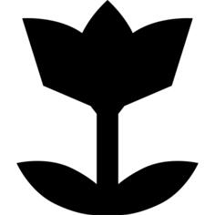 Flower silhouette