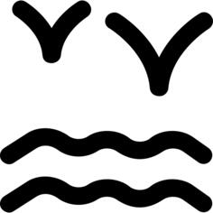 海洋