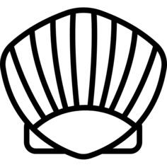 Seashell