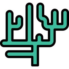 海草