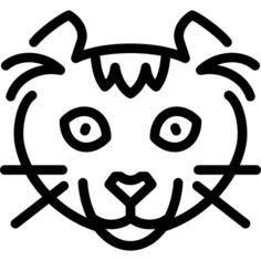 Kinkalow猫