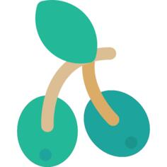橄榄