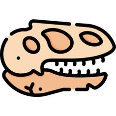 Fossil