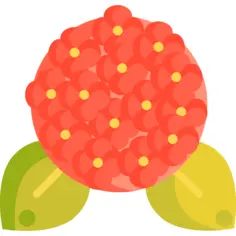 绣球