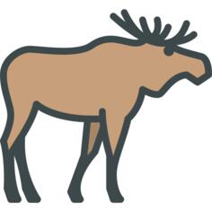 Moose