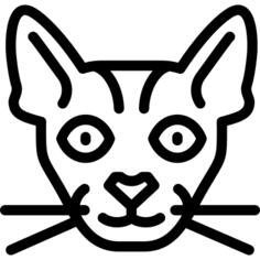 Chausie猫