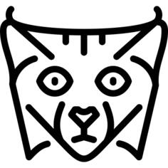 小精灵鲍勃猫