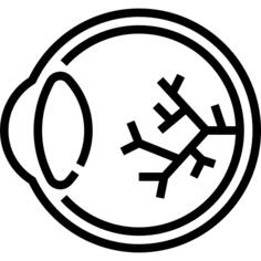Eye