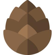 Pine cone