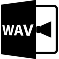 WAV文件格式变体