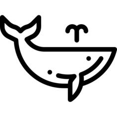 鲸