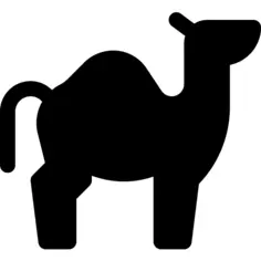 Camel
