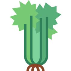 Celery
