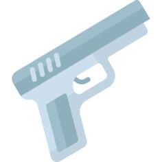 Gun