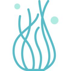 海草