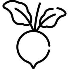 甜菜