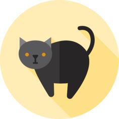 黑猫