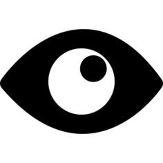 Eye with pupil