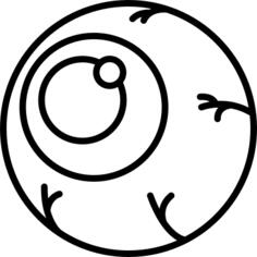眼球