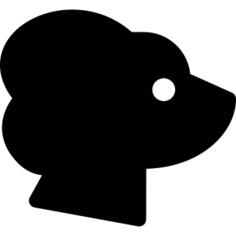 Poodle